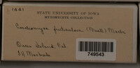 Image Associated With the Occurence
